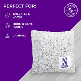 Northwestern Wildcats Two Tone Sherpa Throw Pillow - Team Color