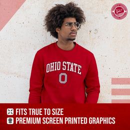 Ohio State Buckeyes Adult Arch & Logo Soft Style Gameday Crewneck Sweatshirt - Red
