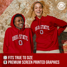 Ohio State Buckeyes Adult Arch & Logo Soft Style Gameday Hooded Sweatshirt - Red