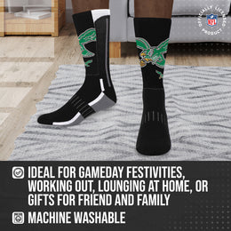 Philadelphia Eagles NFL V Curve  Socks - Team Color