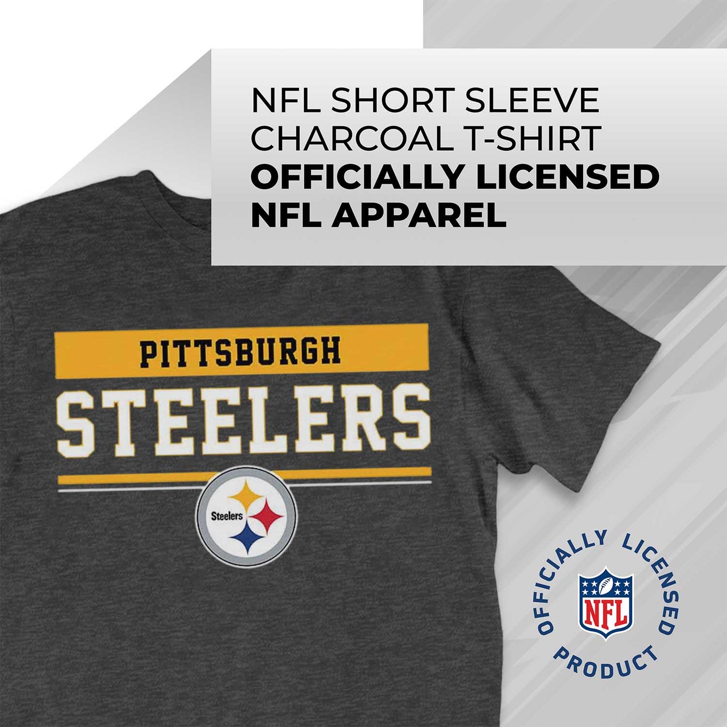 Pittsburgh Steelers NFL Adult Team Block Tagless T-Shirt - Charcoal