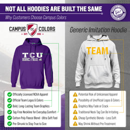 TCU Horned Frogs Adult Arch & Logo Soft Style Gameday Hooded Sweatshirt - Purple
