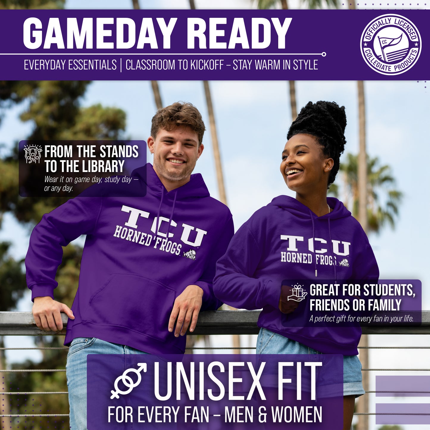 TCU Horned Frogs Adult Arch & Logo Soft Style Gameday Hooded Sweatshirt - Purple