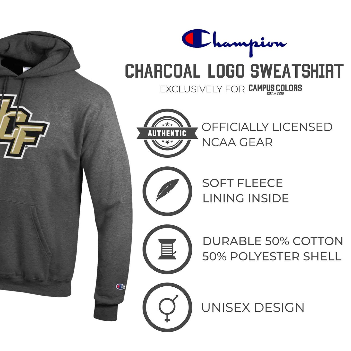 Central Florida Knights Adult Mascot Fleece Hooded Sweatshirt - Charcoal