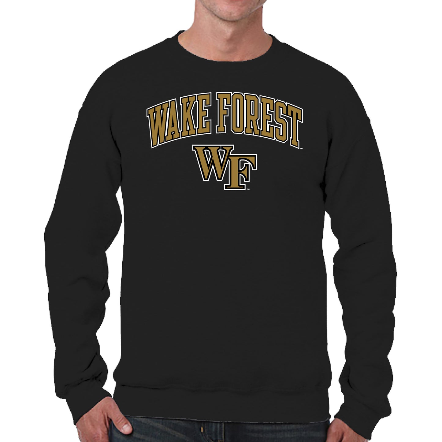Wake Forest Demon Deacons Adult Arch & Logo Soft Style Gameday Crewneck Sweatshirt - Black