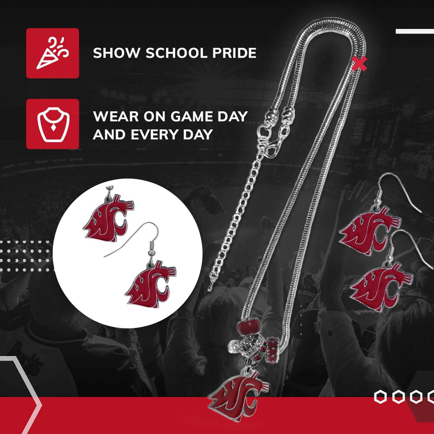 Washington State Cougars Collegiate Game Day Necklace and Earrings - Silver